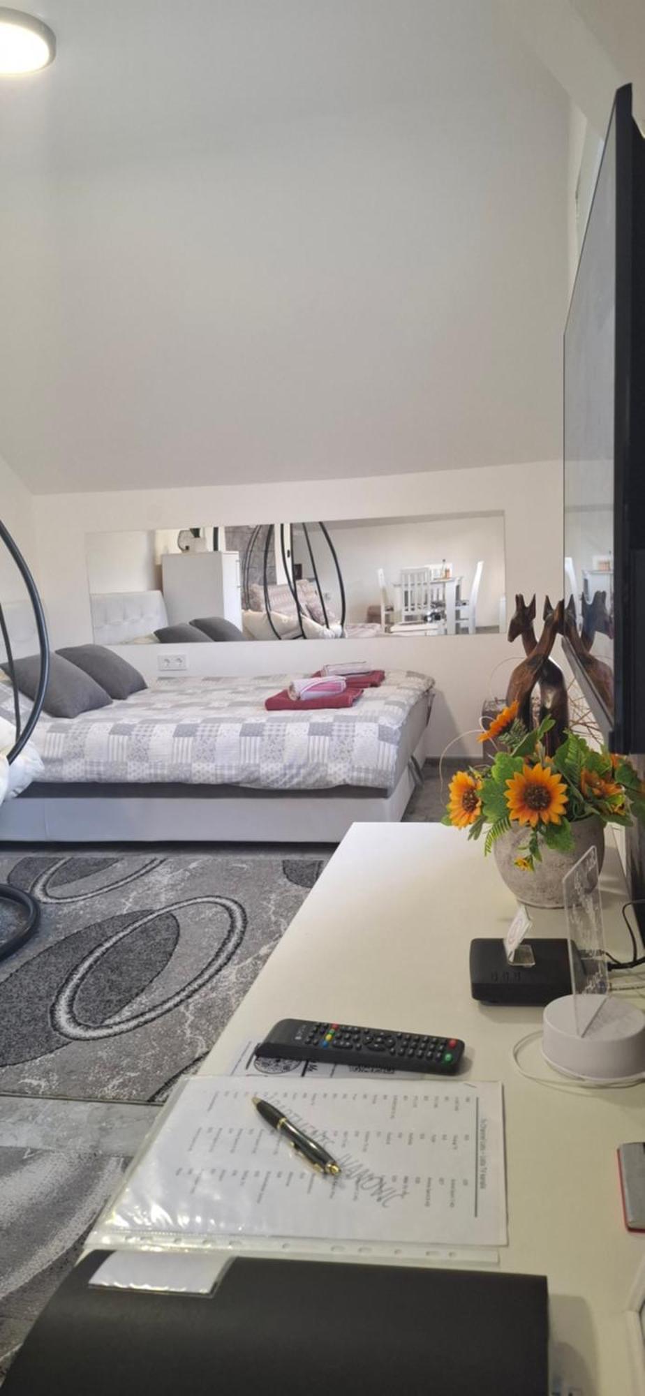 Apartment Ivanovic