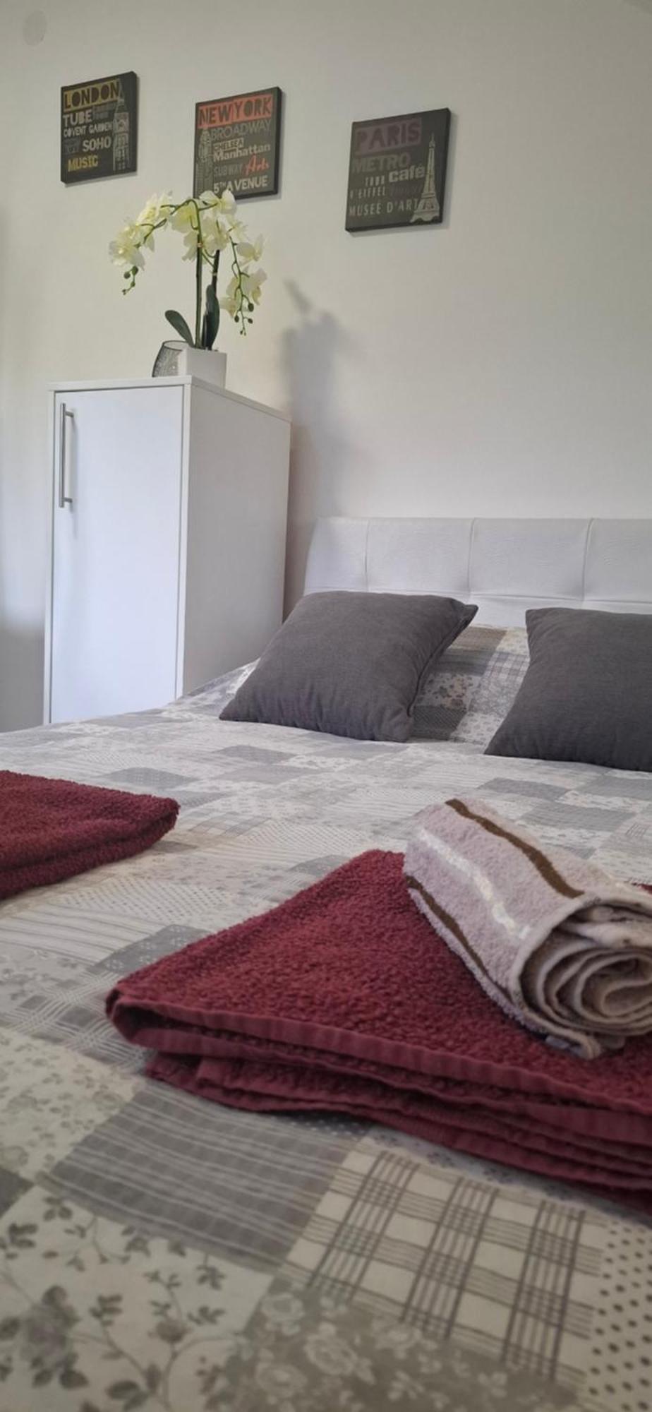 Apartment Ivanovic Bajina Basta