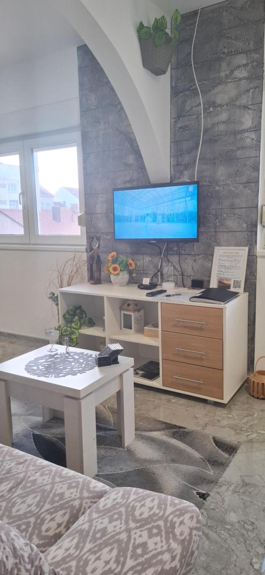 Apartment Ivanovic *