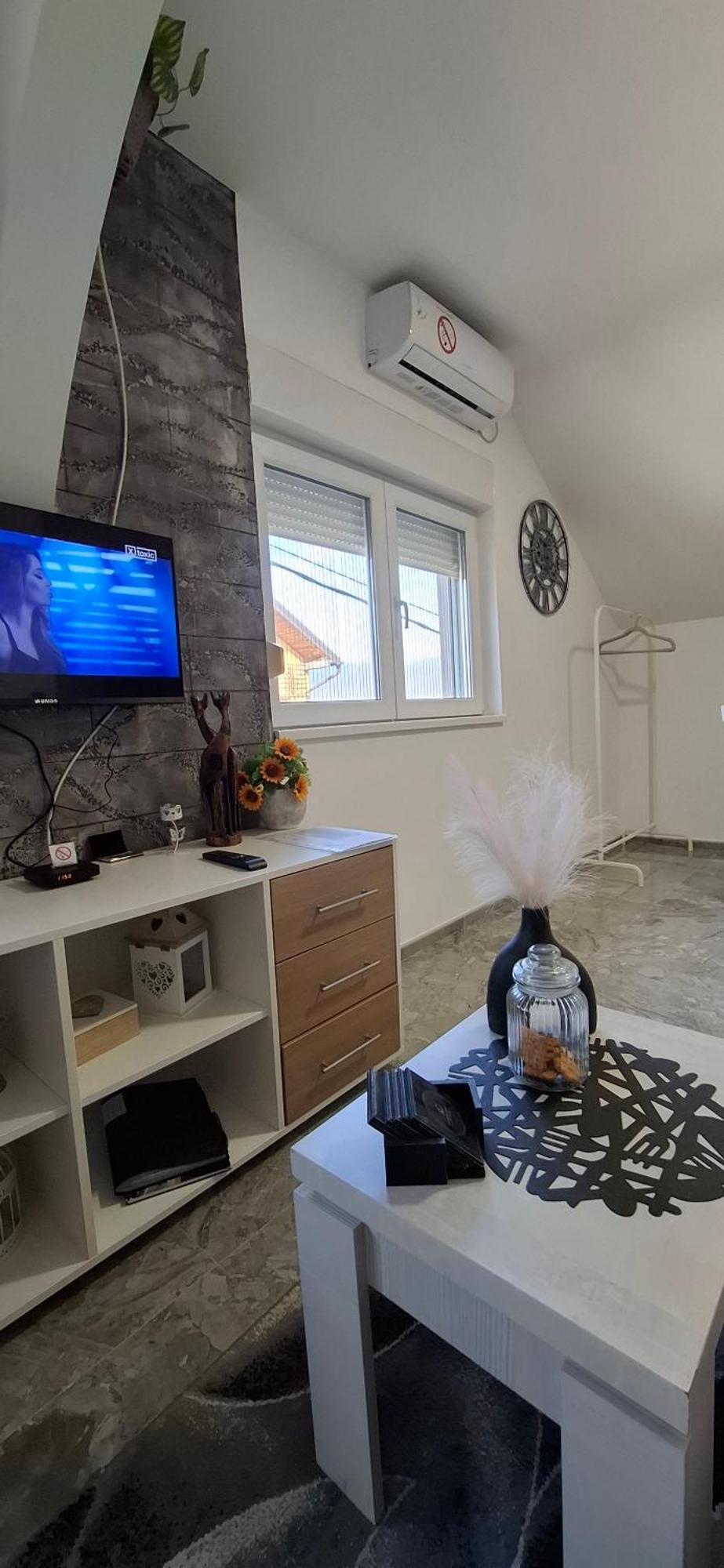 Ivanovic Apartment